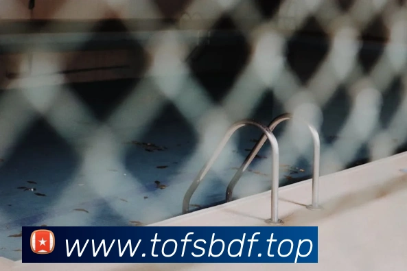 App Interface Preview