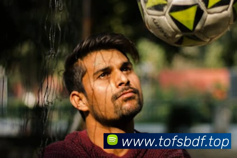 巅峰国际APP 封面图